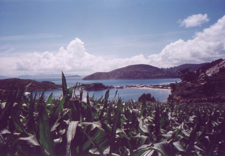 bol_plantlake.jpg