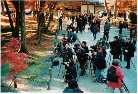 Cameras