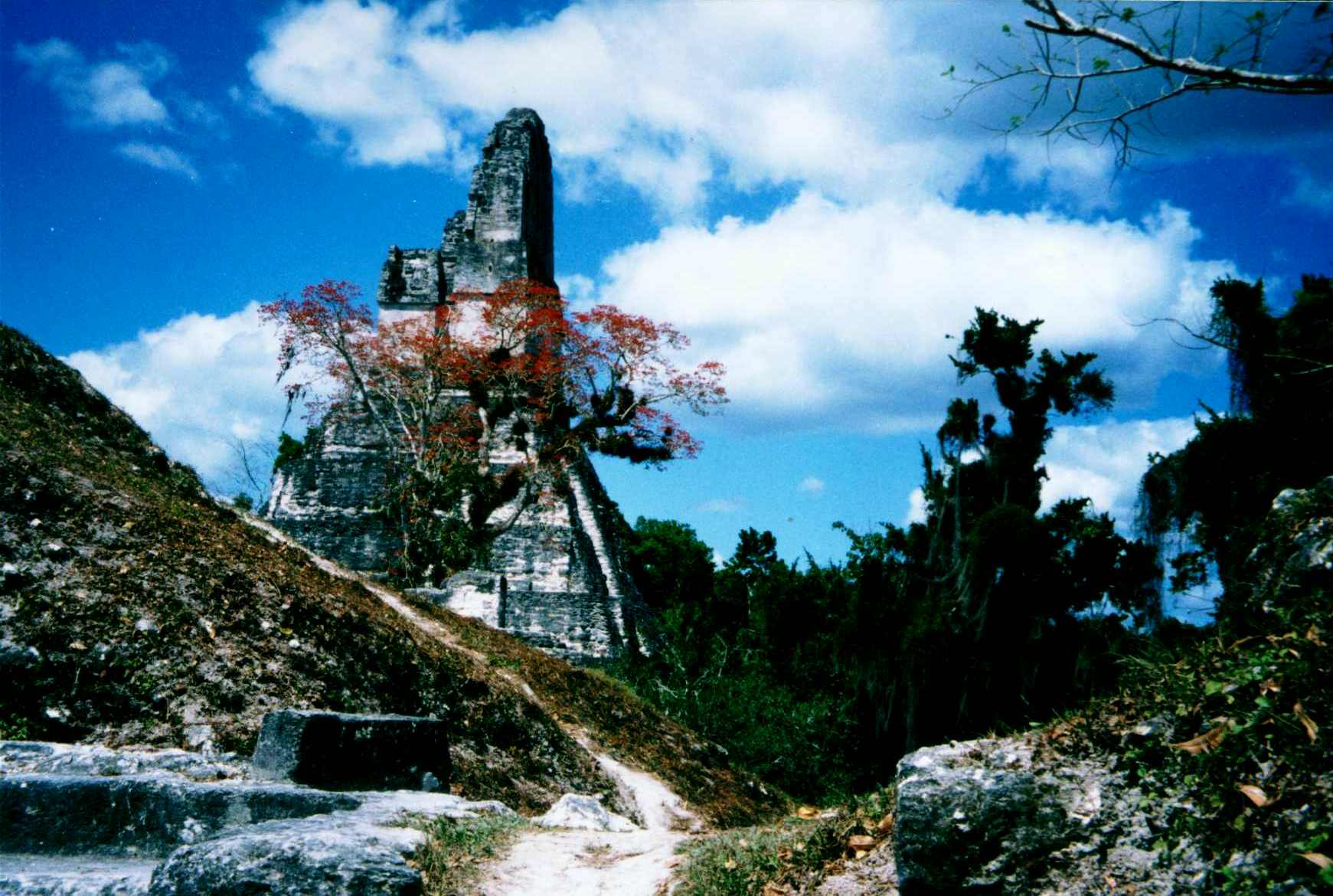 gua_tikaljungle.jpg