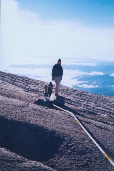 Minnow at the top