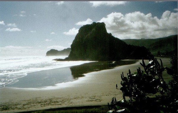 nz_pihabeach.jpg