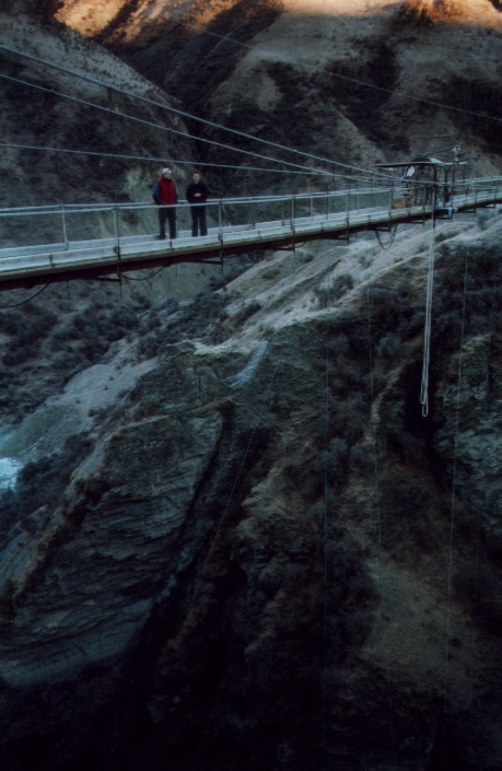 nzbungy1.jpg