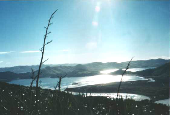 Otago Pennisula