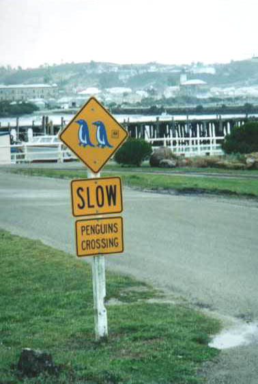 watch out!