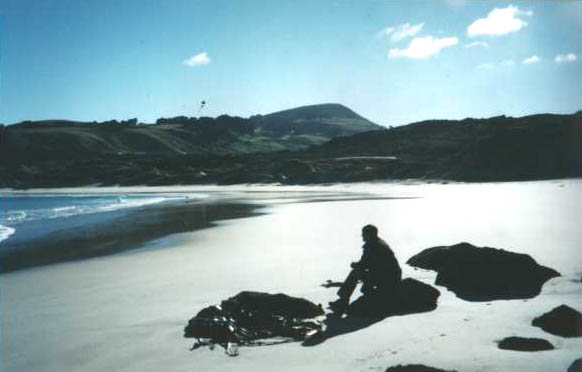 Sandfly beach