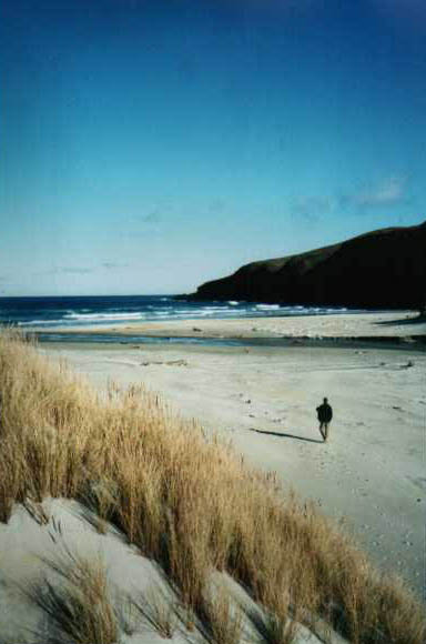 Sandfly beach