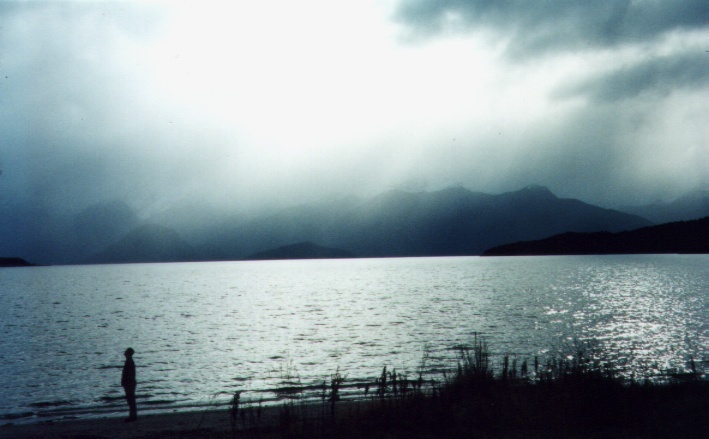 nzweirdlight.jpg