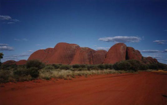 the olgas