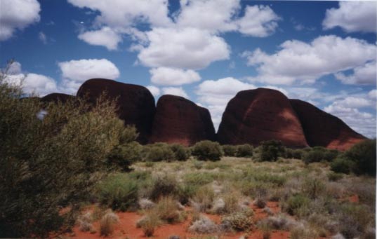Olgas