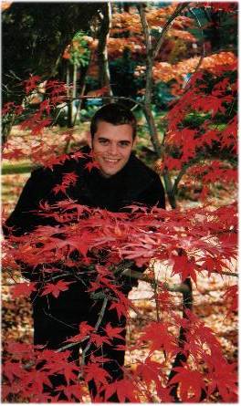 Amongst the trees
